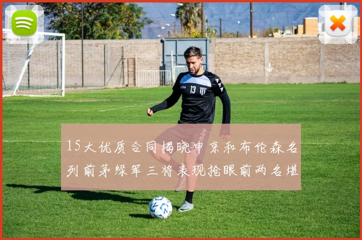 15大优质合同揭晓申京和布伦森名列前茅绿军三将表现抢眼前两名堪称传奇