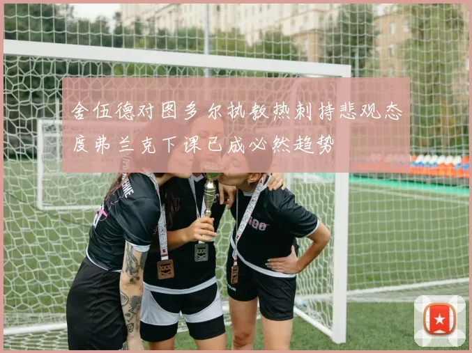 舍伍德对图多尔执教热刺持悲观态度弗兰克下课已成必然趋势